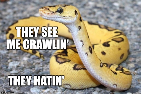 Python Crawler